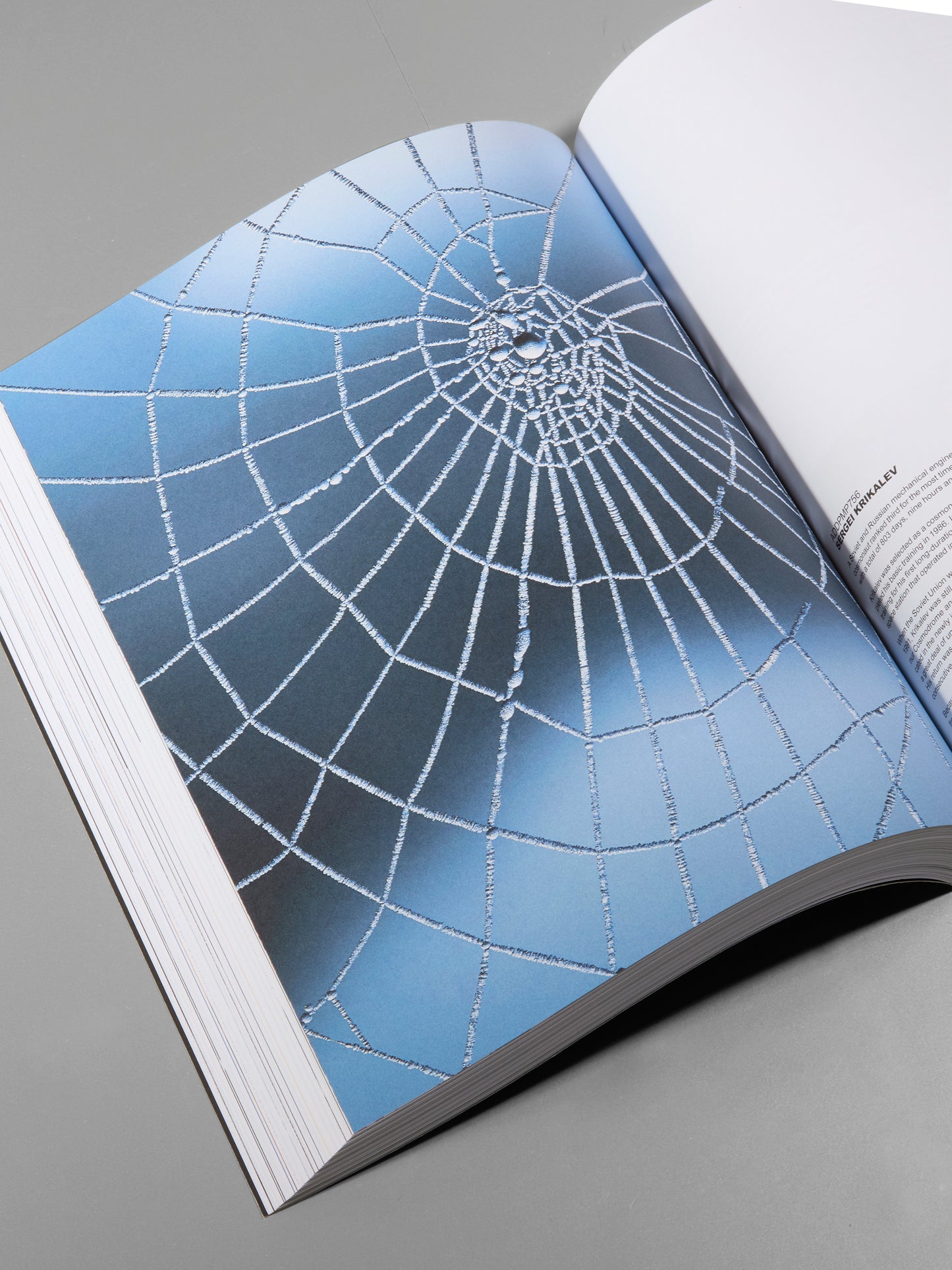 ILL STUDIO & SLAM JAM